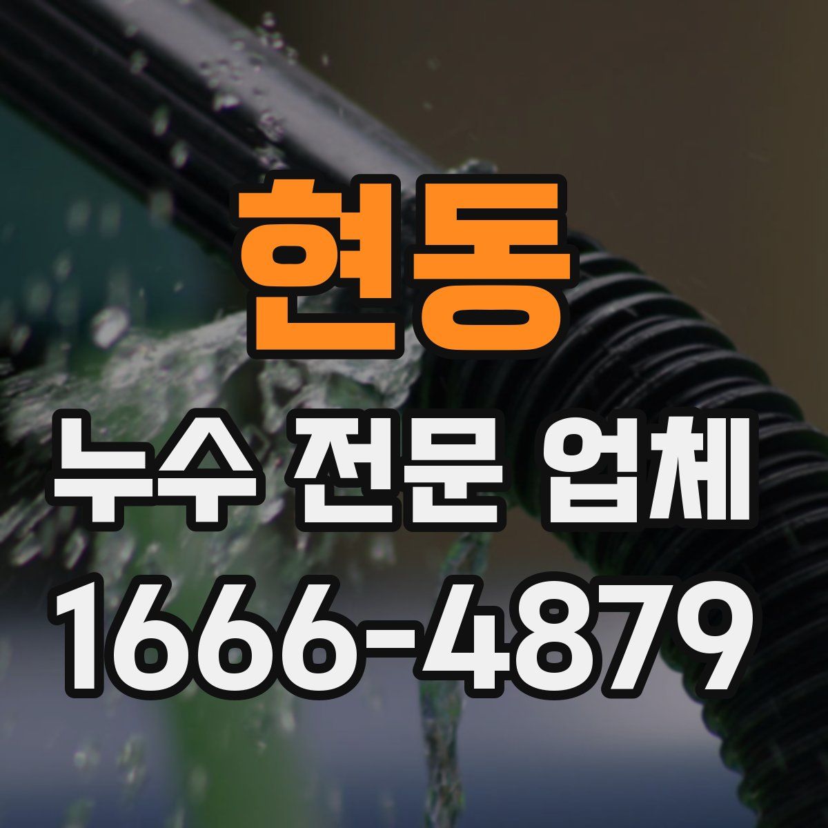 현동 누수 전문 업체
