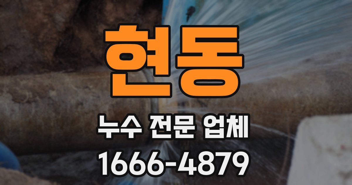 현동 누수 전문 업체