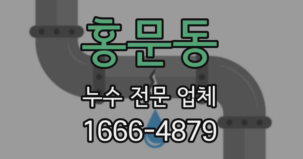 홍문동 누수 전문 업체