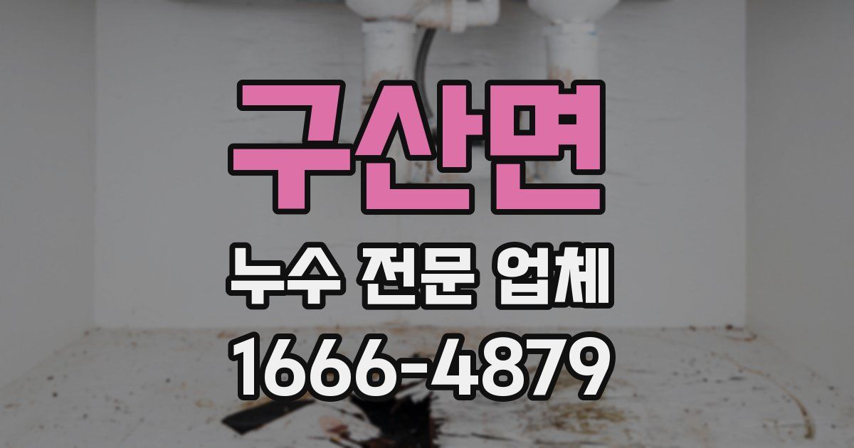구산면 누수 전문 업체