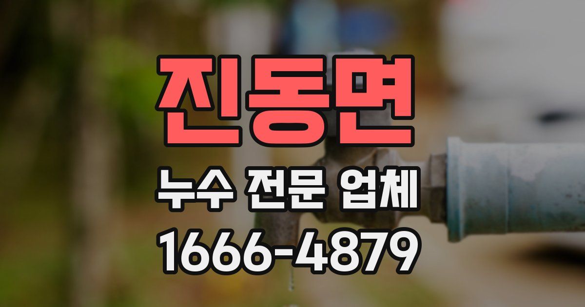 진동면 누수 전문 업체