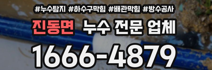 진동면 누수 전문 업체
