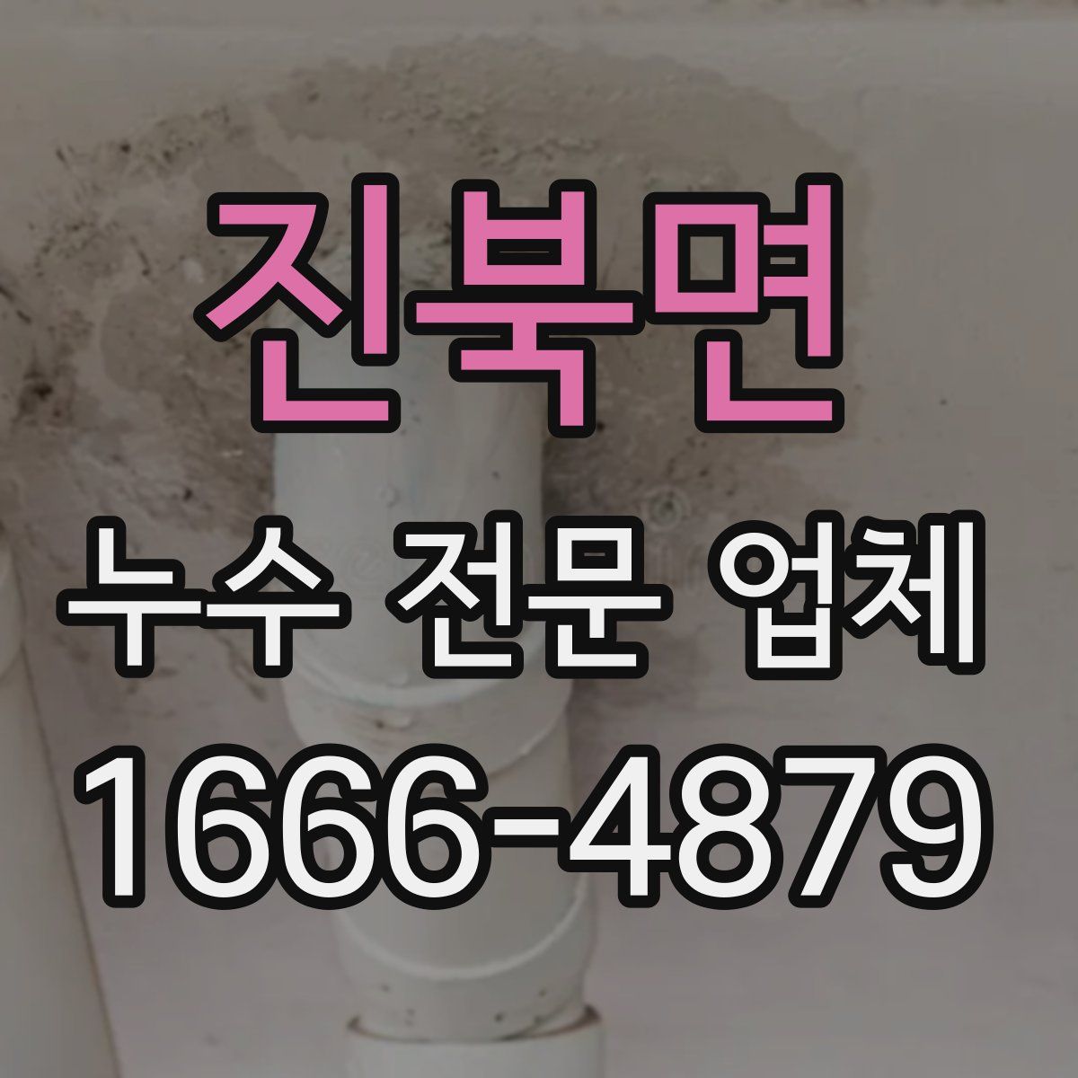 진북면 누수 전문 업체