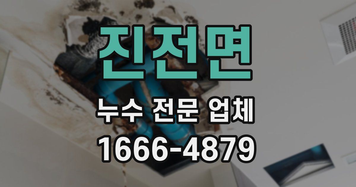 진전면 누수 전문 업체