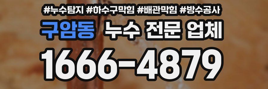 구암동 누수 전문 업체