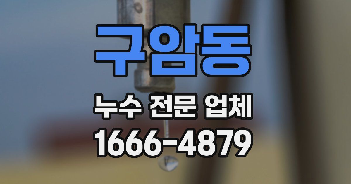 구암동 누수 전문 업체