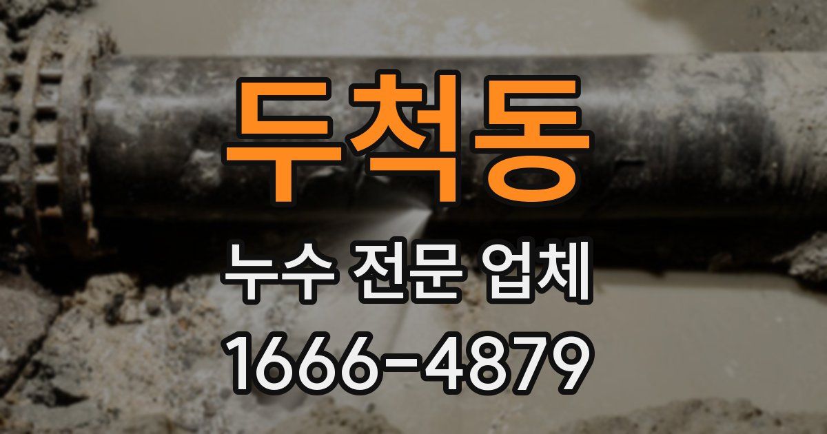 두척동 누수 전문 업체