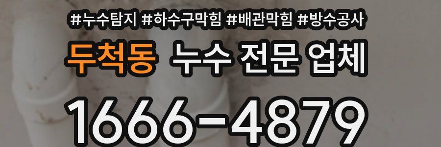 두척동 누수 전문 업체