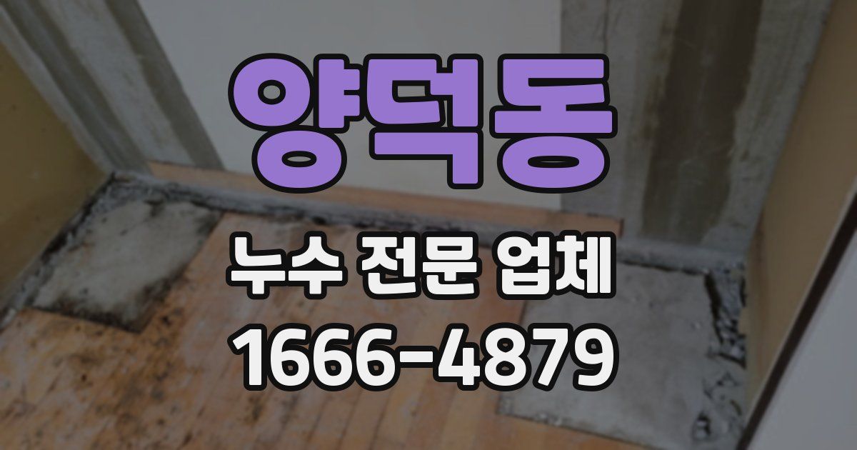 양덕동 누수 전문 업체