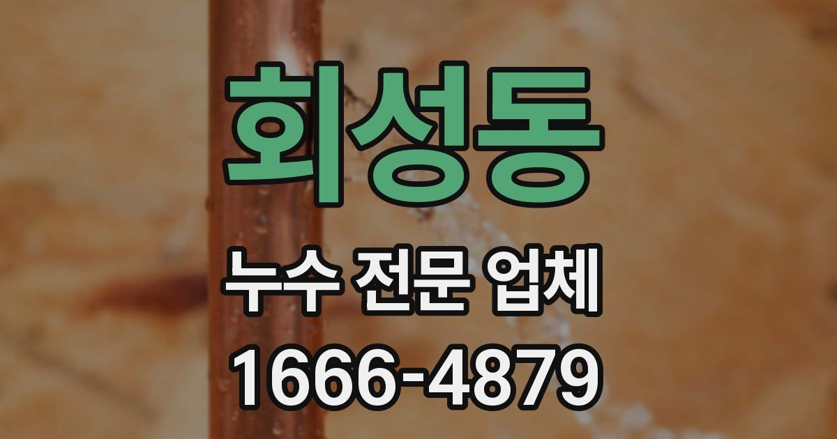 회성동 누수 전문 업체