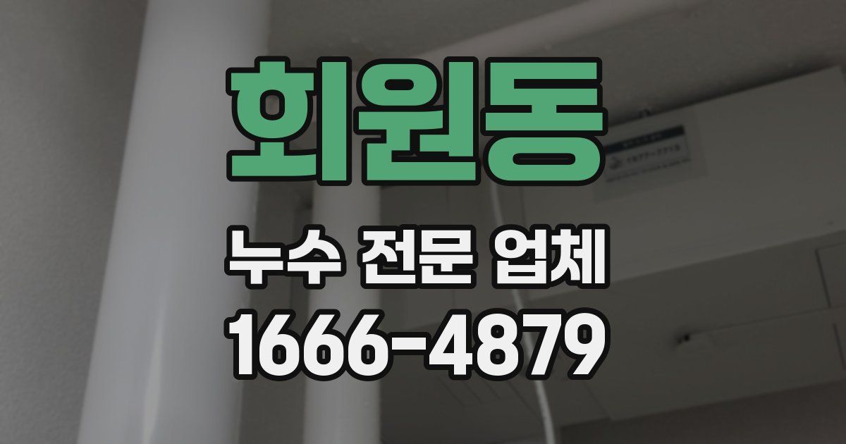 회원동 누수 전문 업체
