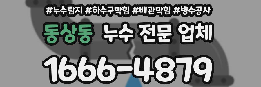 동상동 누수 전문 업체