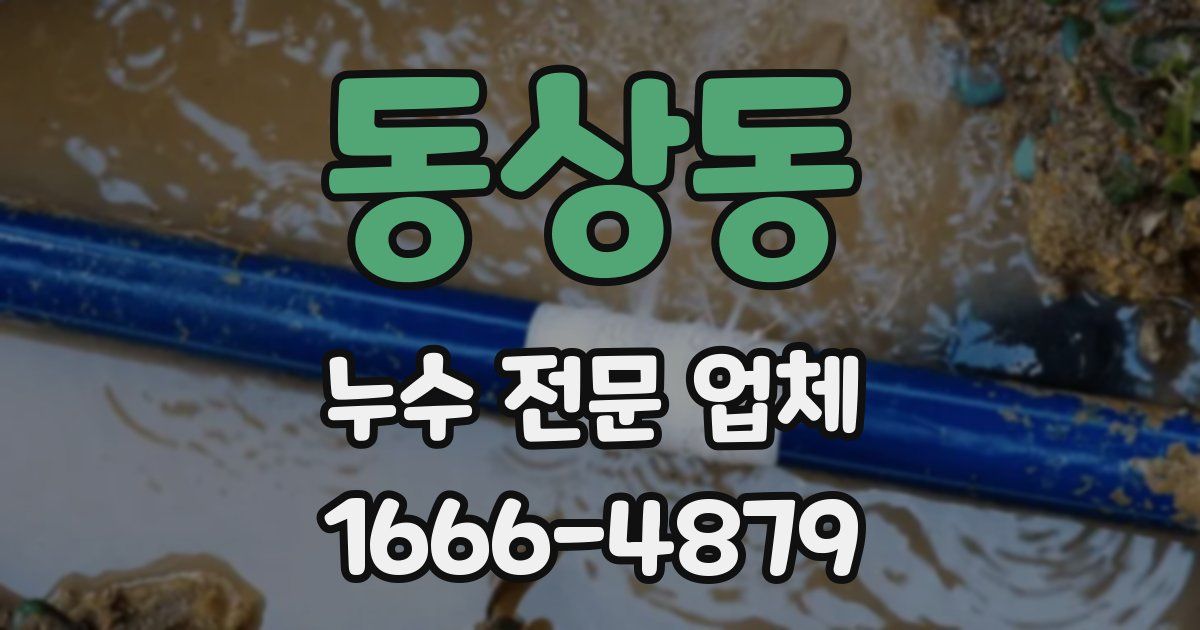 동상동 누수 전문 업체