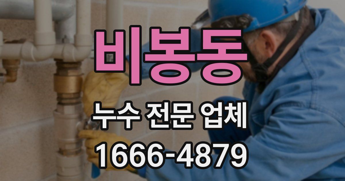 비봉동 누수 전문 업체