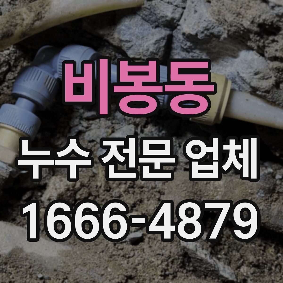 비봉동 누수 전문 업체