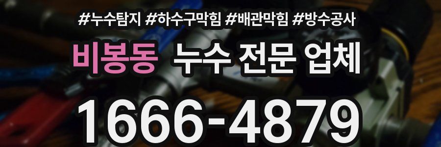 비봉동 누수 전문 업체