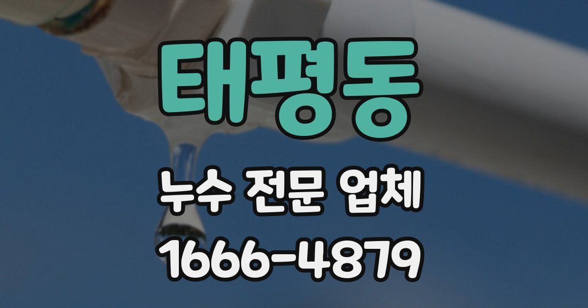 태평동 누수 전문 업체