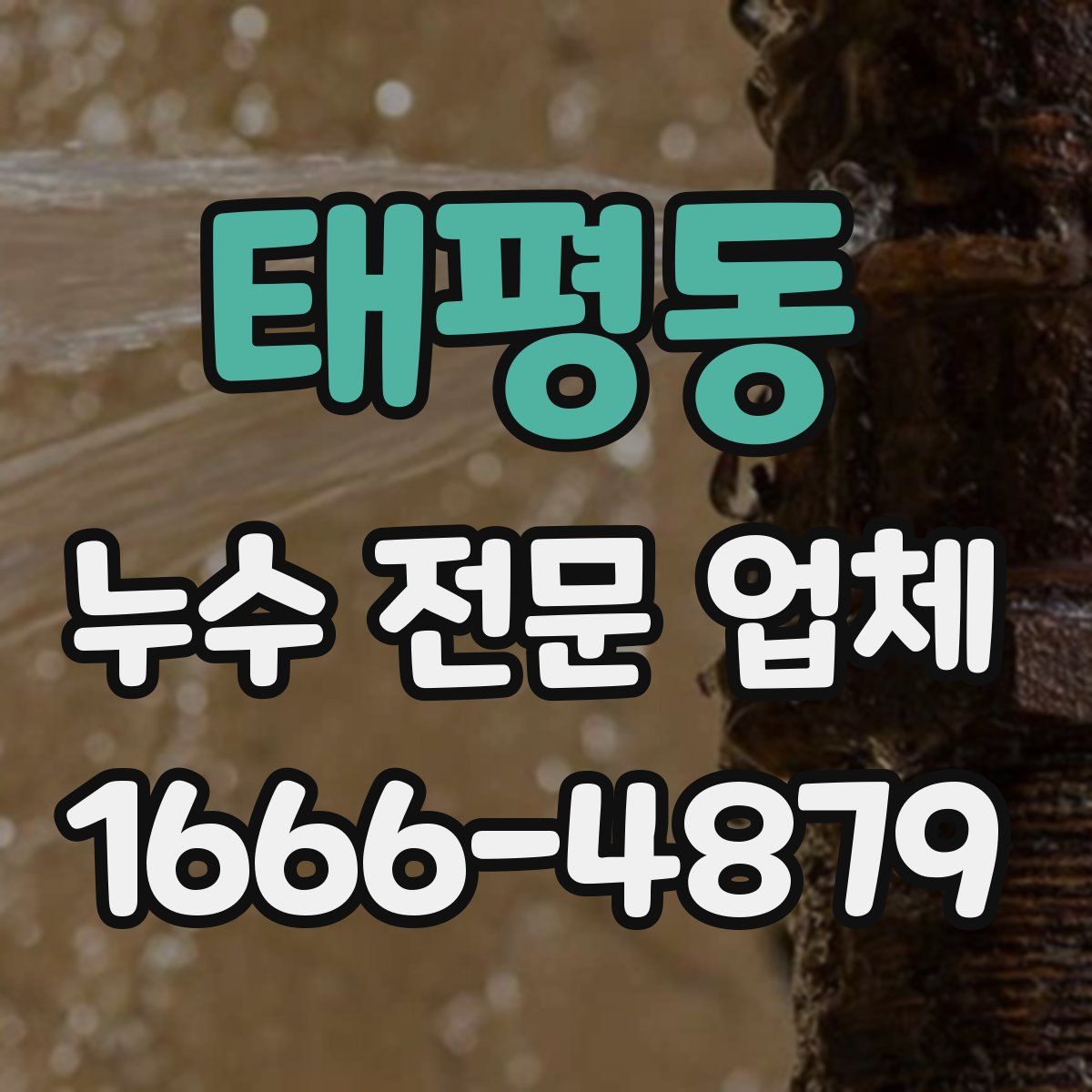 태평동 누수 전문 업체