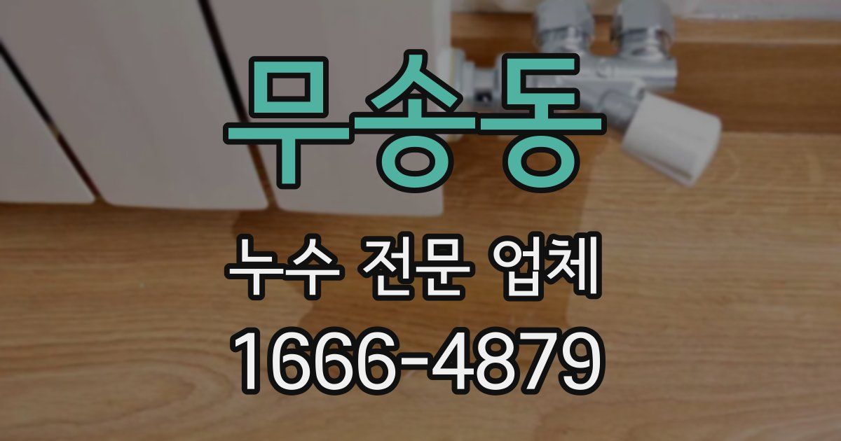 무송동 누수 전문 업체