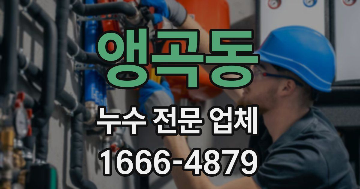 앵곡동 누수 전문 업체