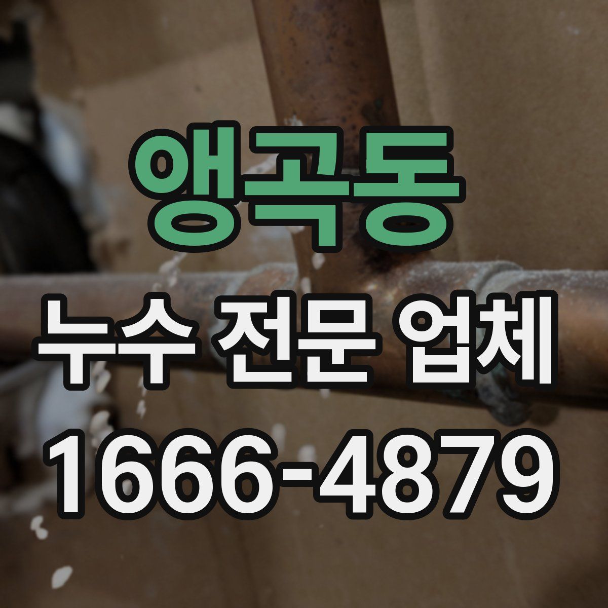 앵곡동 누수 전문 업체