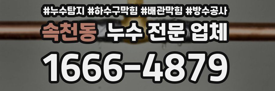 속천동 누수 전문 업체