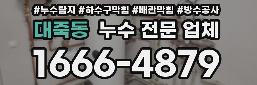 대죽동 누수 전문 업체