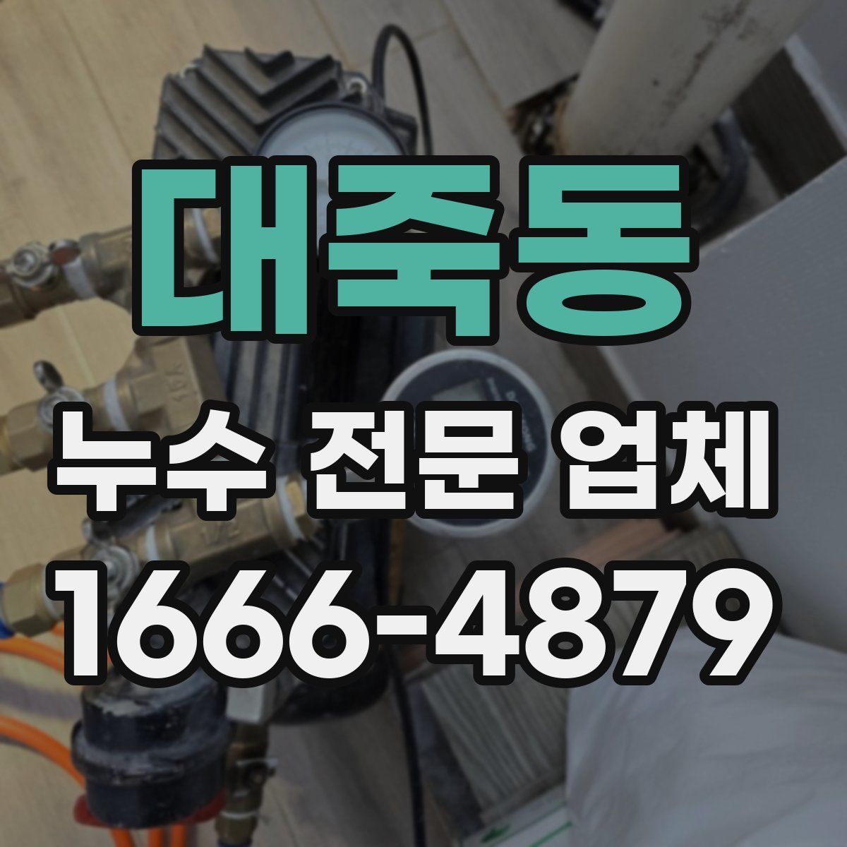 대죽동 누수 전문 업체
