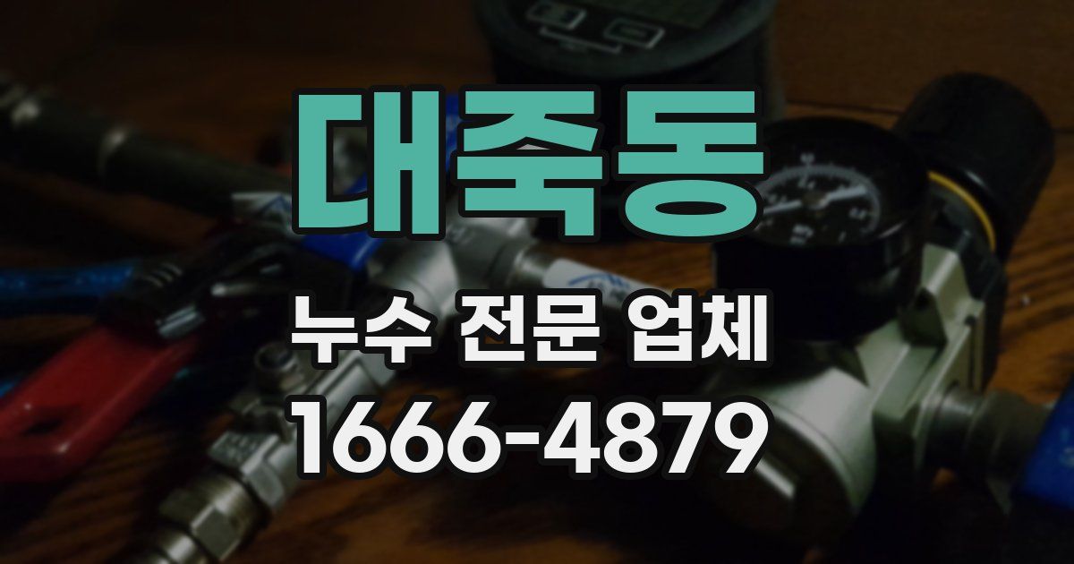 대죽동 누수 전문 업체