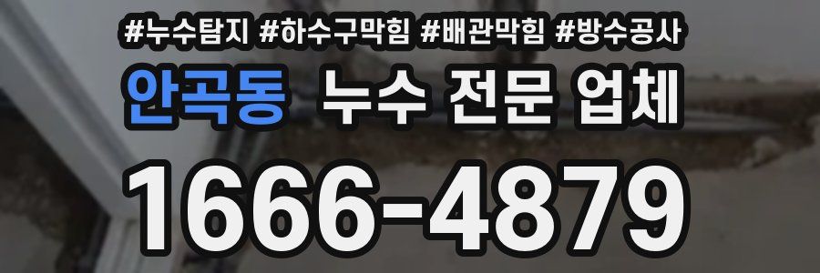안곡동 누수 전문 업체