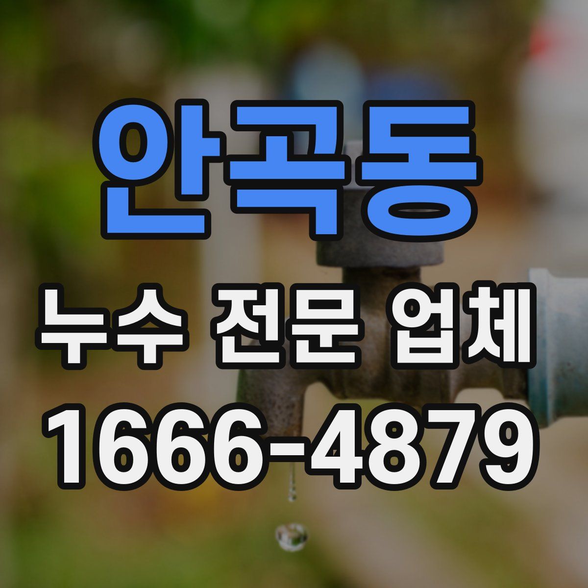 안곡동 누수 전문 업체