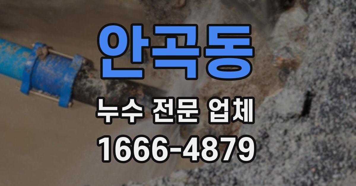 안곡동 누수 전문 업체