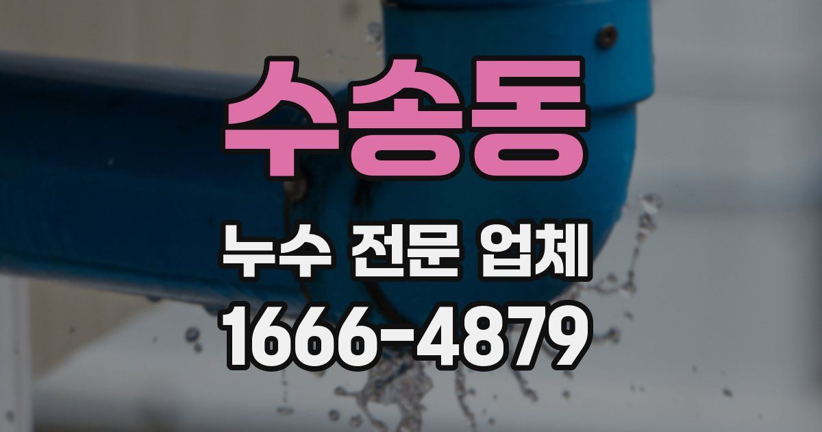 수송동 누수 전문 업체