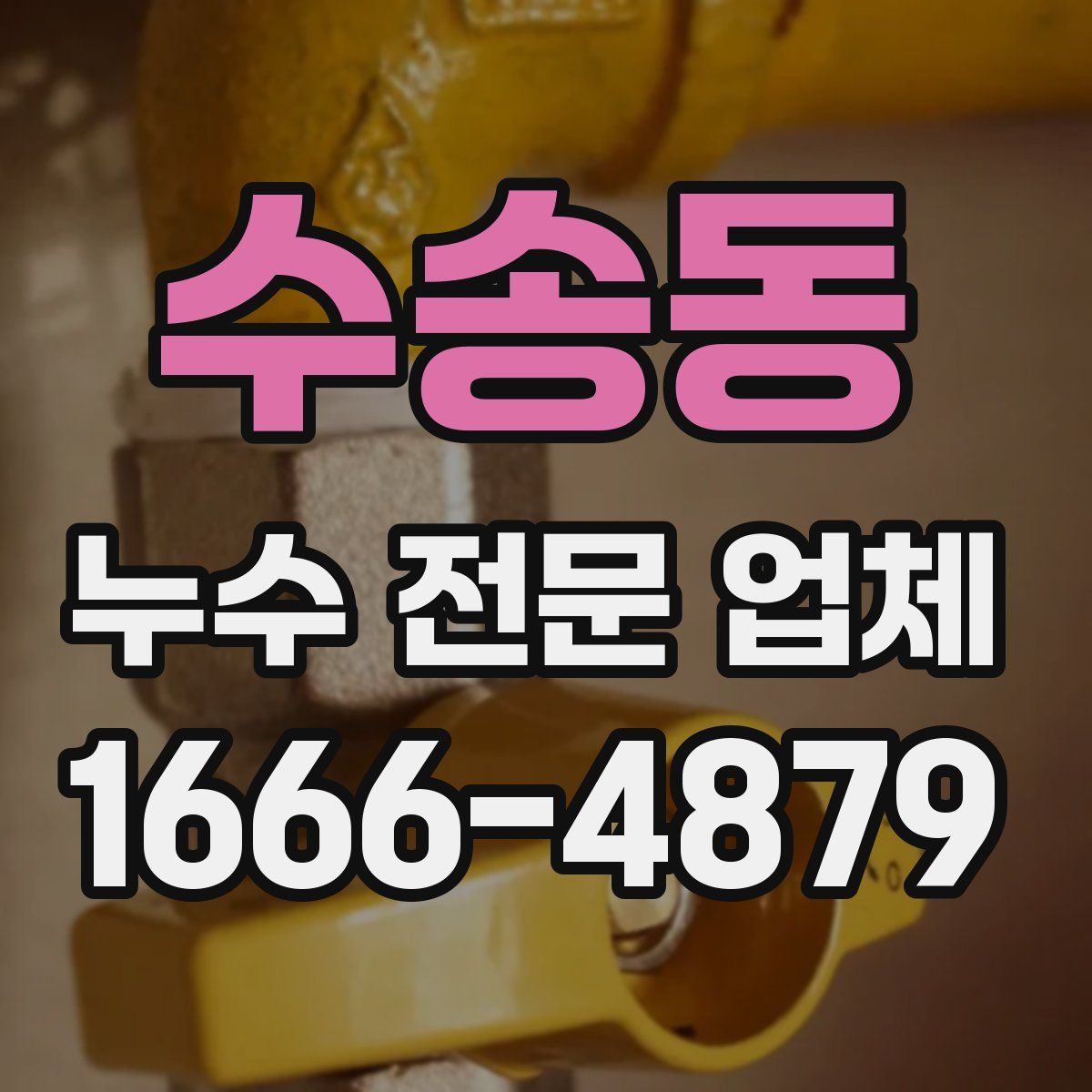 수송동 누수 전문 업체