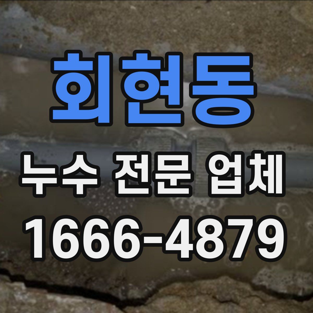 회현동 누수 전문 업체