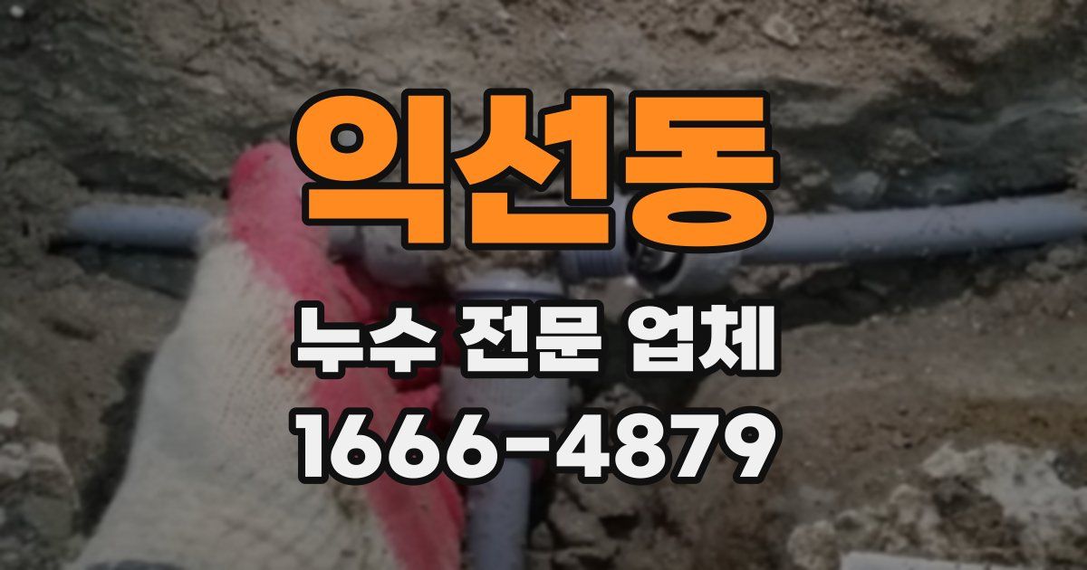익선동 누수 전문 업체