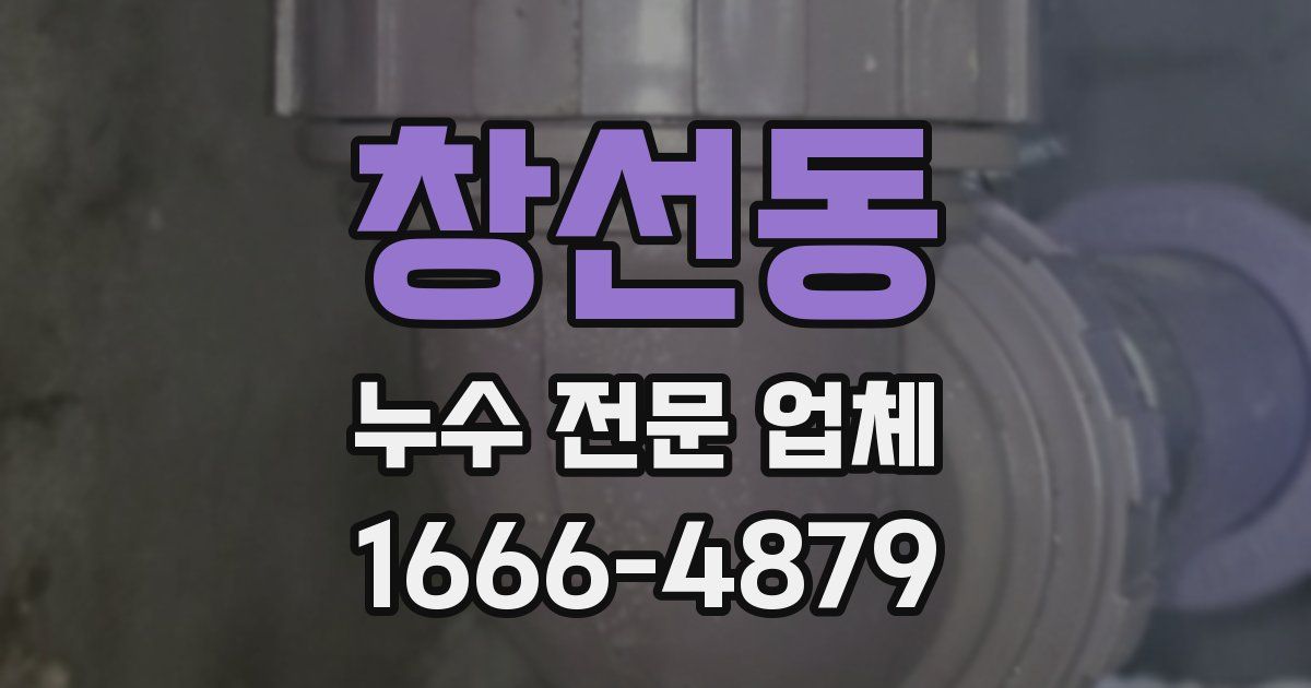 창선동 누수 전문 업체