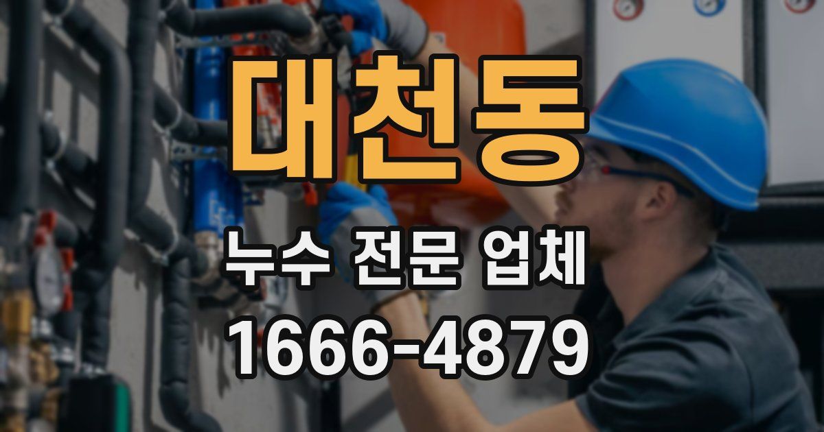 대천동 누수 전문 업체