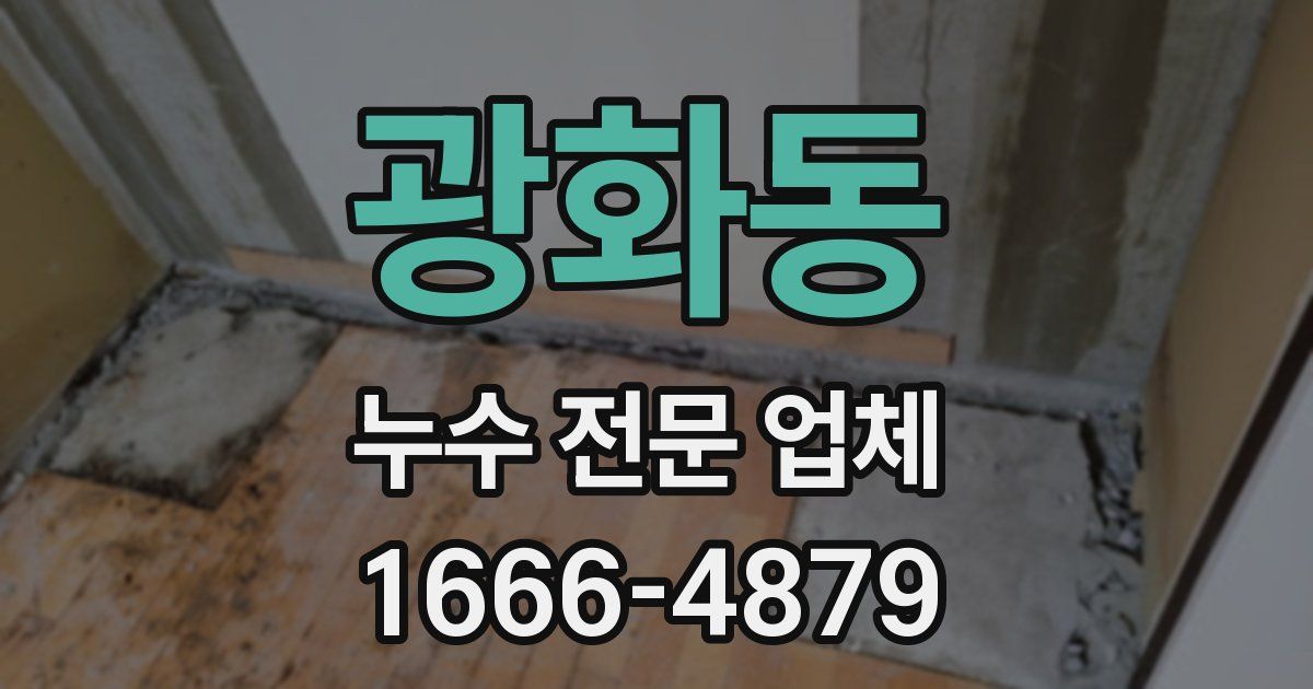 광화동 누수 전문 업체