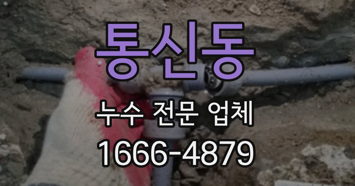 통신동 누수 전문 업체