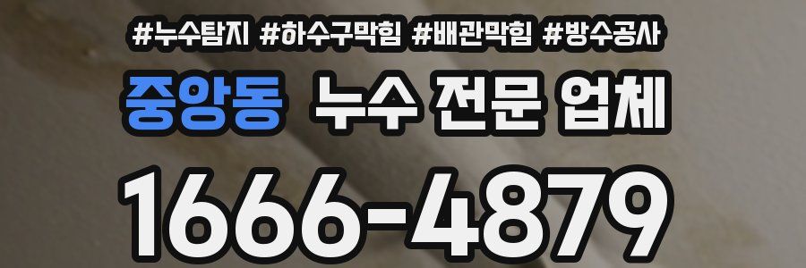 중앙동 누수 전문 업체
