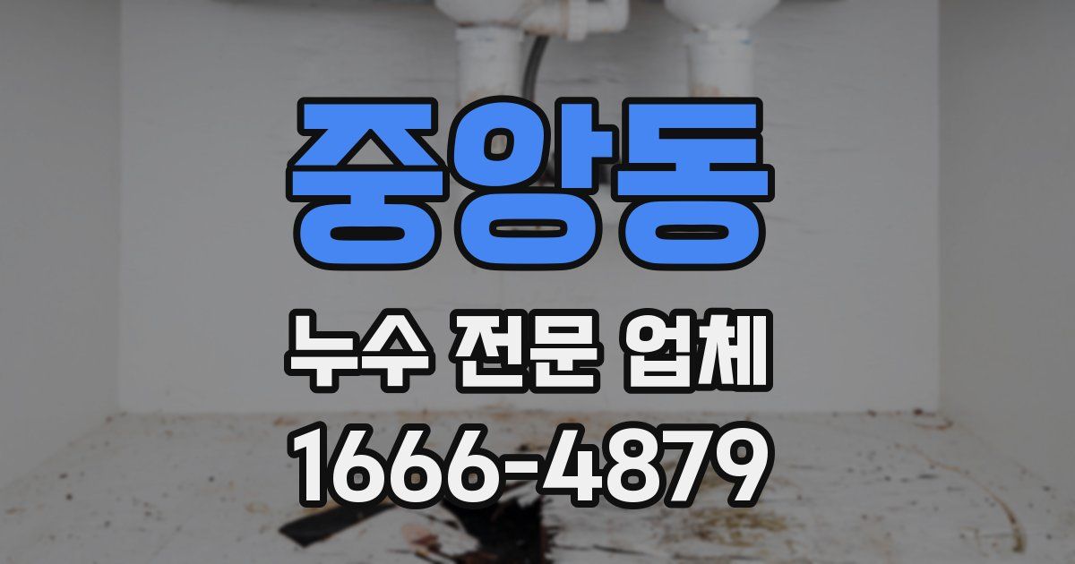중앙동 누수 전문 업체