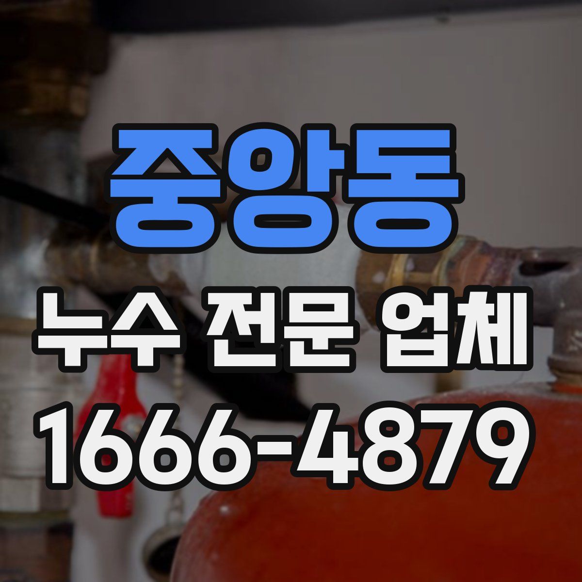 중앙동 누수 전문 업체