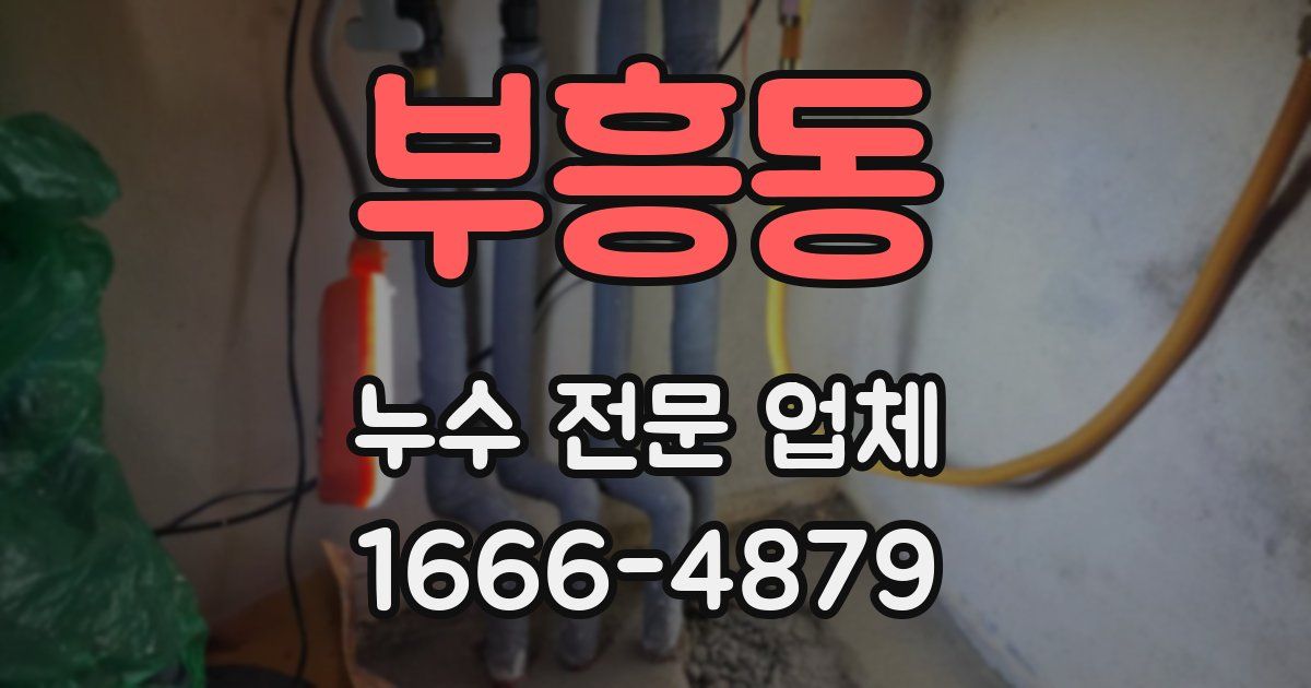 부흥동 누수 전문 업체