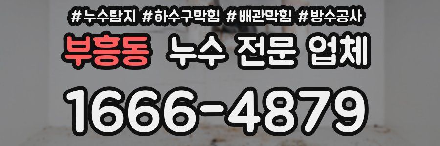 부흥동 누수 전문 업체
