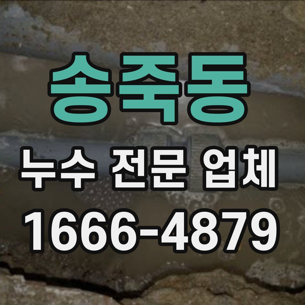 송죽동 누수 전문 업체