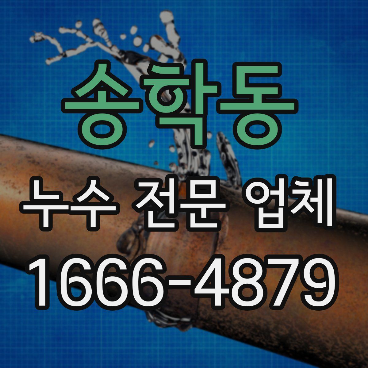 송학동 누수 전문 업체