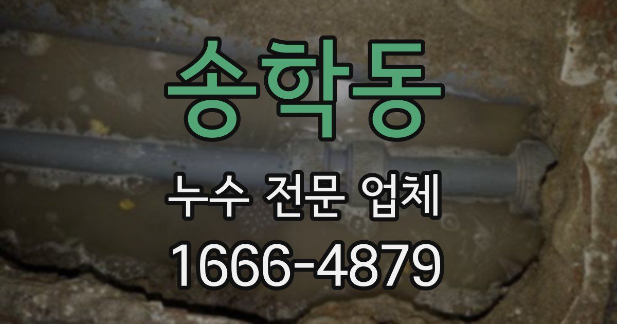 송학동 누수 전문 업체