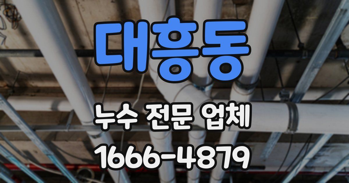 대흥동 누수 전문 업체