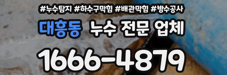 대흥동 누수 전문 업체